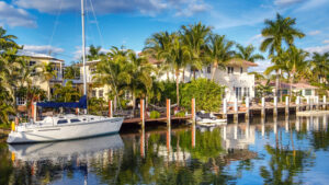 docks boats palm trees and houses