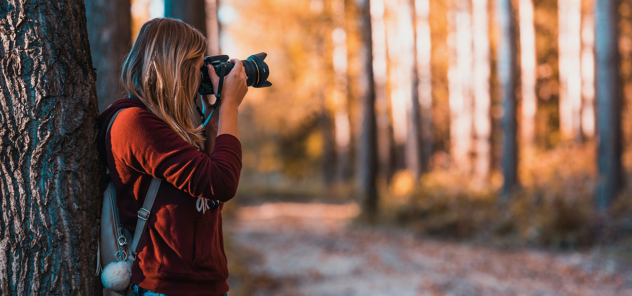 Photographer shooting pictures in the woods